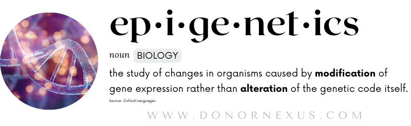 When using a donor egg, epigenetics tells us that the recipient mother (or surrogate) plays a role in how the genes are expressed - turning the activity level of certain genes up or down. Learn more in this blog post!